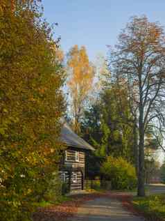 沥青路秋天树木制的木小屋目标