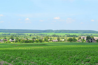 美丽的夏天景观村美丽的夏天一天农村村说话<strong>格罗德诺地区</strong>白俄<strong>罗</strong>斯