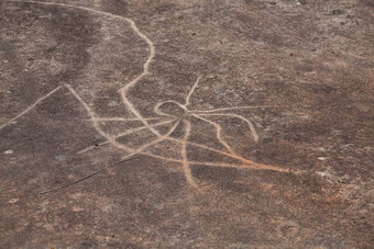 达拉瓦尔蚀刻岩画邦迪纳新南威尔士州澳大利亚