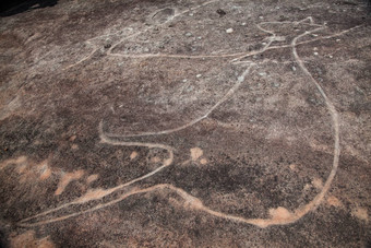 达拉瓦尔蚀刻岩画袋鼠邦迪纳新南威尔士州澳大利亚