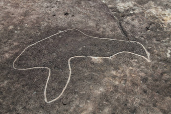 达拉瓦尔蚀刻岩画邦迪纳新南威尔士州澳大利亚