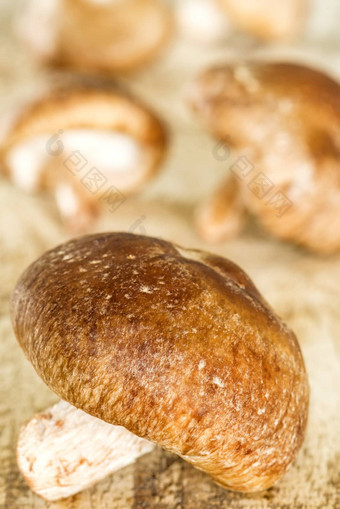 <strong>香菇</strong>蘑菇