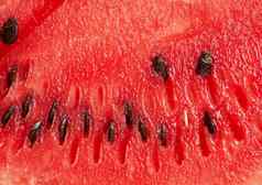 减少纹理红色的成熟的西瓜棕色（的）种子完整的框架