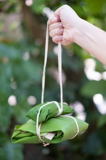 包使绿色香蕉叶自然绳子生态