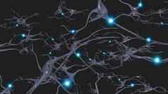 大脑细胞神经元