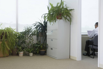 盆栽植物办公室窗口业务男人。移动PC毗邻的房间回来视图