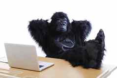 年轻的男人。大猩猩服装休息脚桌子上办公室