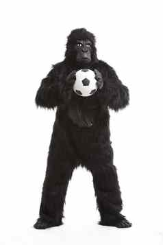 年轻的男人。大猩猩服装持有足球球白色背景