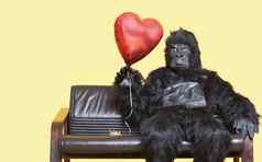 年轻的男人。穿着大猩猩服装持有心形状的气球坐着沙发彩色的背景