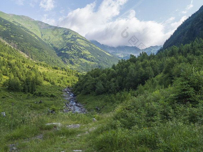 夏季山间溪流云雾缭绕自然风光