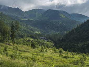 美丽的山谷山小屋齐亚尔斯卡茶田木小屋云杉树矮擦洗松秃山山峰西方基山rohace斯洛伐克夏天蓝色的天空背景