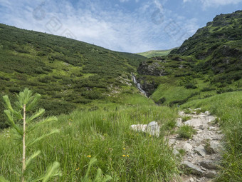 萨拉菲的<strong>落水</strong>瀑布美丽的夏天山景观齐亚尔斯卡茶田齐亚尔斯卡多丽娜谷西方基山斯洛伐克