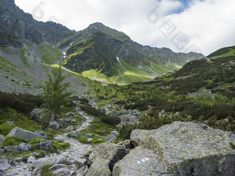 美丽的山谷smutna多丽娜岩石巨石小径小道矮擦洗松绿色山山峰西方基山rohace斯洛伐克夏<strong>天蓝色</strong>的<strong>天空背景</strong>