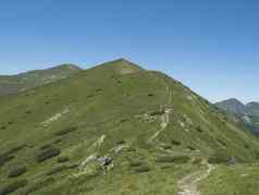 美丽的山景观西方塔特拉山山rohace徒步旅行小道脊锋利的绿色长满草的岩石山山峰擦洗松高山花草地夏天蓝色的天空背景