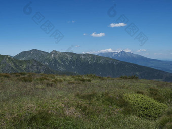 美丽的山景观西方塔特拉山山rohace徒步旅行小道脊锋利的绿色长满草的岩石山山峰擦洗松高山花草地夏天蓝色的天空背景