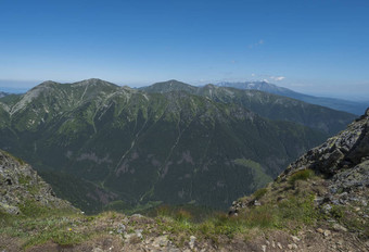 山景观西方塔特拉山山rohace视图高基克里文峰徒步旅行小道巴拉内克锋利的绿色长满草的岩石山山峰擦洗松高山花草地夏天蓝色的天空背景