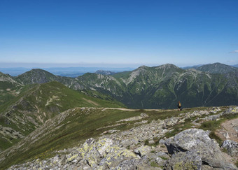 山景观西方塔特拉山山女人bacpack狗徒步旅行小道巴拉内克锋利的绿色长满草的岩石山山峰擦洗松高山花草地夏天蓝色的天空背景