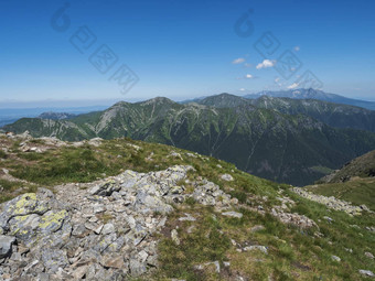 山景观西方塔特拉山山rohace视图高基克里文峰徒步旅行小道巴拉内克锋利的绿色长满草的岩石山山峰擦洗松高山花草地夏<strong>天蓝色</strong>的<strong>天空背景</strong>