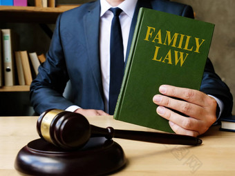 律师显示家庭法律书法院离婚