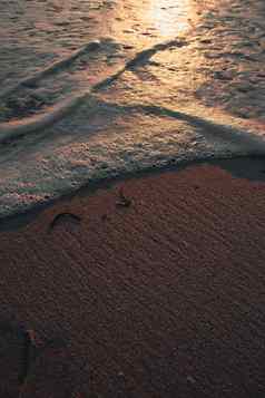 变形交叉潮汐黑暗棕色（的）沙子