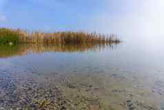 湖冈原边缘水生植被反映了平静水