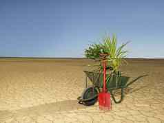 独轮手推车完整的植物铲沙漠
