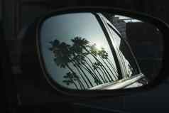 反射棕榈树车镜子