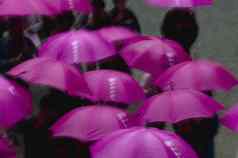 什么时候日兴tosho-gu神道教神社人紫色的雨伞升高视图