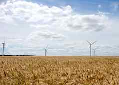 电生成风车黄金小麦场多云的蓝色的天空英格兰