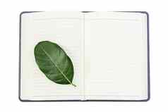 新鲜的绿色叶开放空白笔记本孤立的白色后台