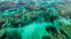 水晶清晰的海洋水珊瑚珊瑚礁