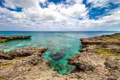 浅绿松石水珊瑚珊瑚礁岩石