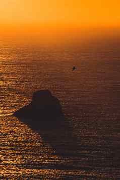 海鸥飞行海洋日落橙色音调