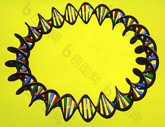 遗传物质太太螺旋链基地双