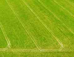 空中绿色农业场痕迹喷涂工程活动拖拉机