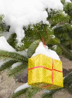 圣诞节现在盒子挂雪覆盖冷杉嫩枝