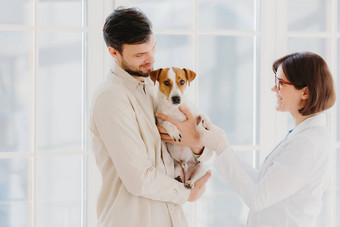 水平拍摄有爱心的狗老板携带宠物手显示动物专家杰克罗素梗检查兽医私人诊所站室内窗口兽医检查