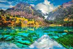 令人惊异的视图水晶清晰的水花湖骡子