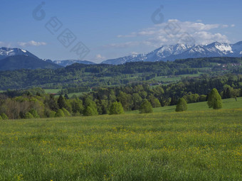 美丽的春天农村山景观巴伐利亚阿尔卑斯山脉村雪覆盖山山峰山丘背景巴伐利亚德国