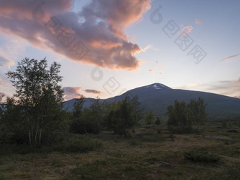 美丽的野生拉普兰自然<strong>景</strong>观桦木树森林山桑贾尔贾卡瑞典<strong>北景</strong>观夏天日落粉红色的云