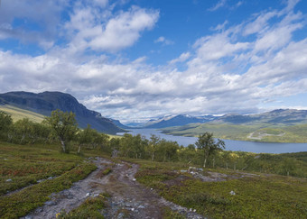 拉普兰景观美丽的河弗洛拉尔文雪封顶山桦木树小径孔斯莱登徒步旅行小道萨尔托罗克塔北瑞典野生自然夏天蓝色的天空
