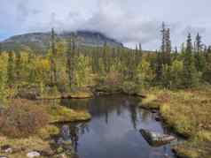 景观sarek国家公园瑞典拉普兰水流山山峰桦木云杉树森林早期秋天颜色蓝色的天空白色云