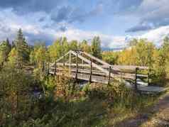 木脚桥河流Kvikkjokk瑞典拉普兰桦木云杉树森林早期秋天颜色阳光蓝色的天空白色云