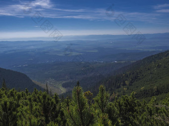 视图塔特拉山山小道谷塔特兰卡lomnice蓝色的有雾的山坡上山距离松树松柏科的森林山蓝色的天空塔特拉山山夏天斯洛伐克