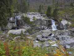 瀑布级联野生河流studeny波托克巨石秋天彩色的树山谷大斯图德纳多丽娜斯洛伐克高塔特拉山山