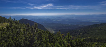 全景视图塔特拉山山小道谷塔特兰卡lomnice蓝色的有雾的山坡上山距离松树松柏科的森林山蓝色的天空塔特拉山山夏天