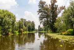 景观cuemanco运河xochimilco墨西哥城市平静河河流春天森林