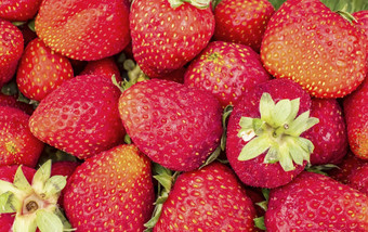 新鲜的<strong>草莓</strong>市场