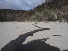 雪覆盖部分冻森林池塘湖水流溪云杉树森林田园冬天景观蓝色的天空黄昏