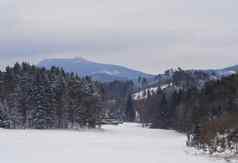 冬天森林农村雪覆盖景观树山